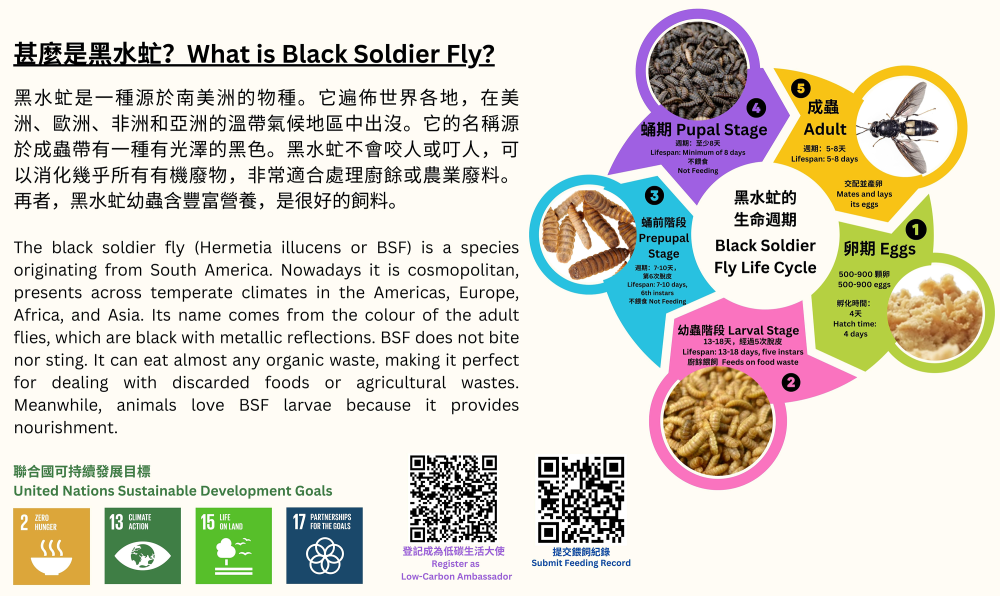 Bug Wars against Food Waste Project to reduce food waste on campus and raise public awareness