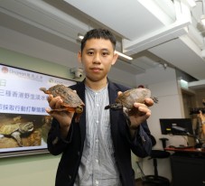 嶺大研究指三種香港野生淡水龜瀕臨絕跡 學者敦促政府立即採取行動打擊猖獗捕獵行為