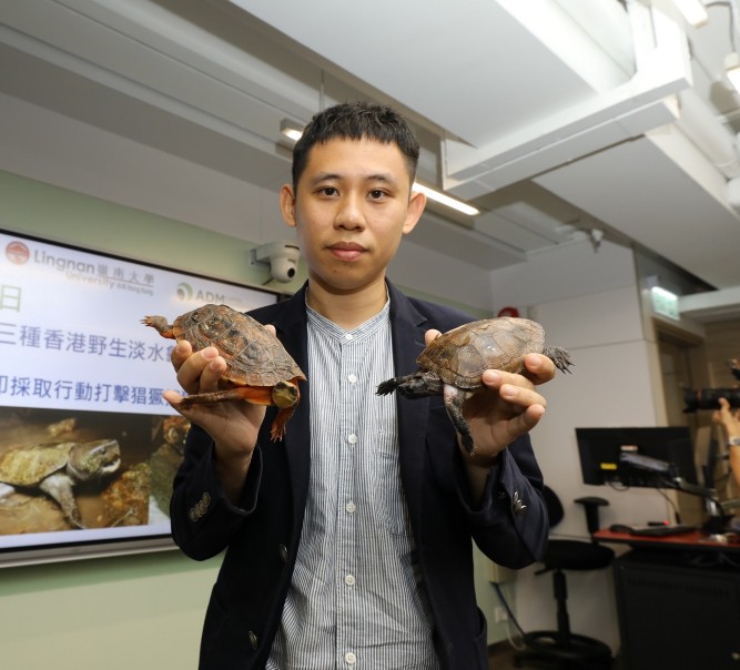 岭大研究指三种香港野生淡水龟濒临绝迹 学者敦促政府立即采取行动打击猖獗捕猎行为