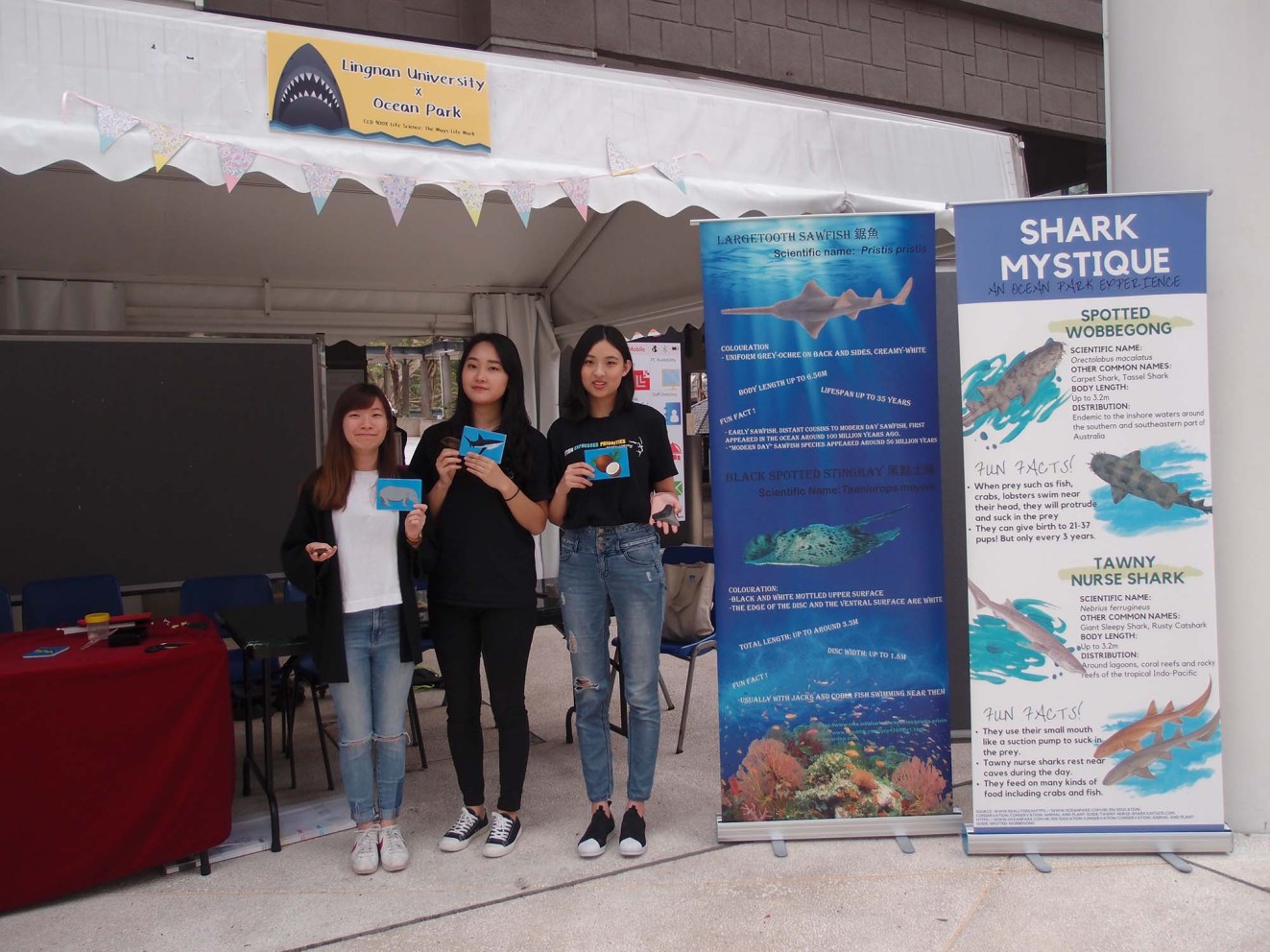 岭大学生与香港海洋公园合作，在校园设置游戏摊位，推广鲨鱼保育。