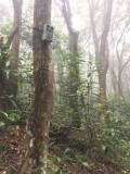 Prof Sung Yik-hei &ldquo;evolved&rdquo; from hobbyist to conservation biologist