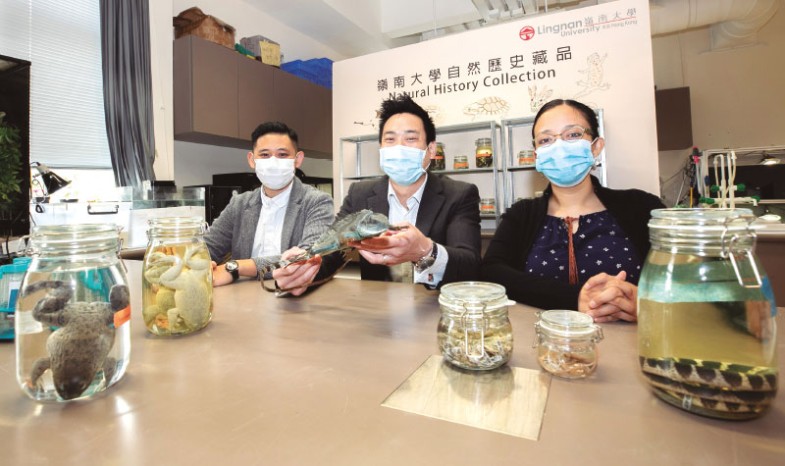 激勵具影響力的研究