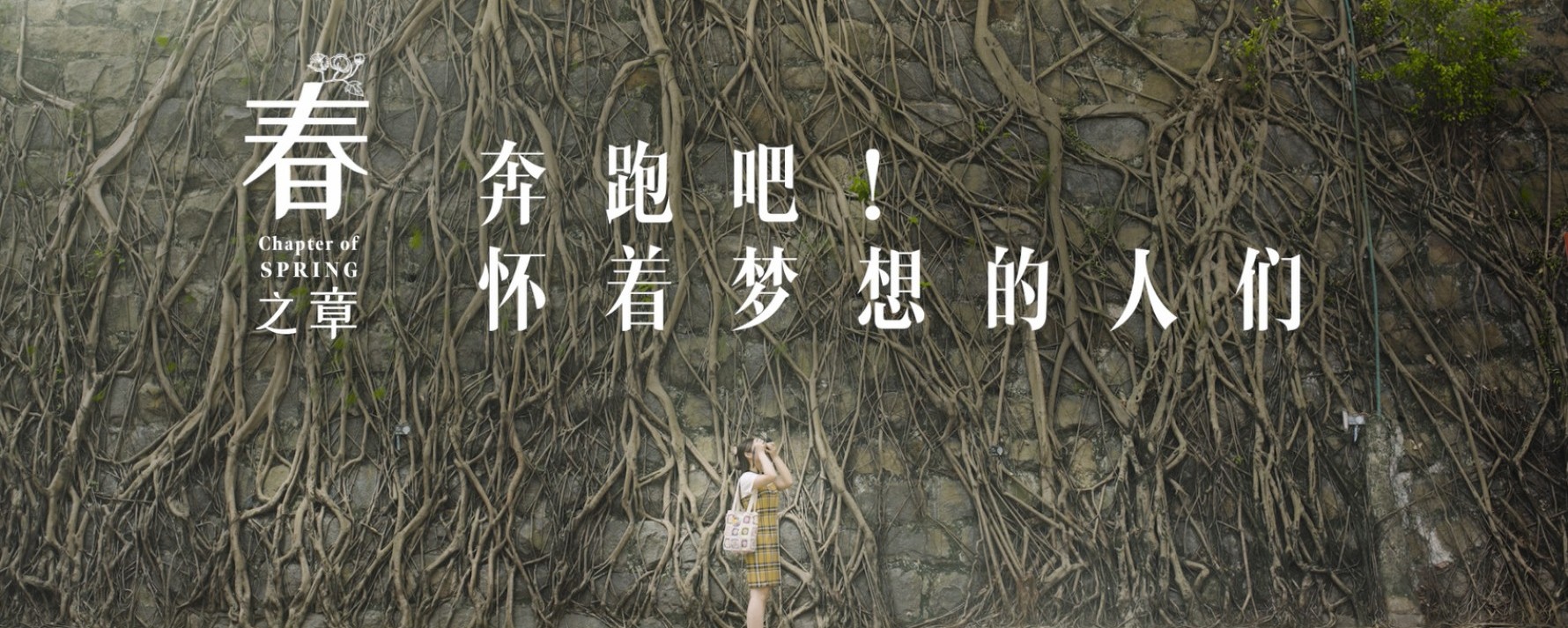 Lingnan Video