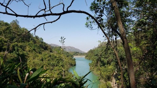 A comprehensive survey of the diadromous animals of Lantau: assessment of distribution, population status, and conservation strategies