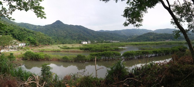 Exploring the hidden fish community and fishery value of estuarine mangroves in western Hong Kong waters through environmental DNA metabarcoding