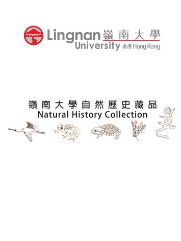 3. Natural History Collection: Supporting Biodiversity Conservation in Hong Kong