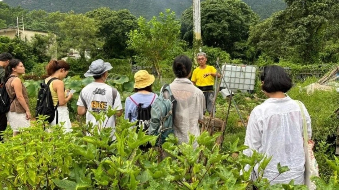 The program aims to teach participants essential concepts and techniques, including crop rotation, companion planting, and natural pest control, to enhance the ecological value of farmlands for pollinators.