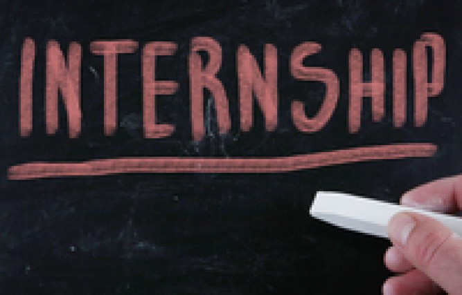 Internship and Other Opportunities