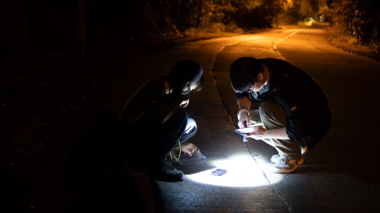 Roadkill survey in action.