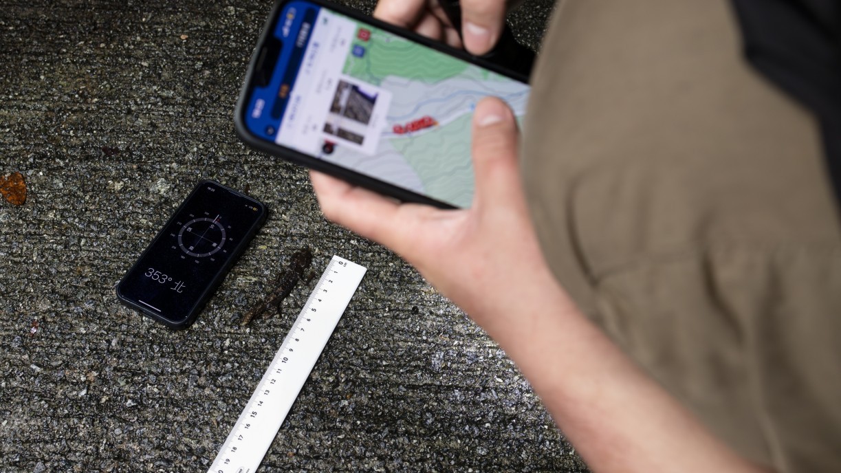 Roadkill survey collects data.