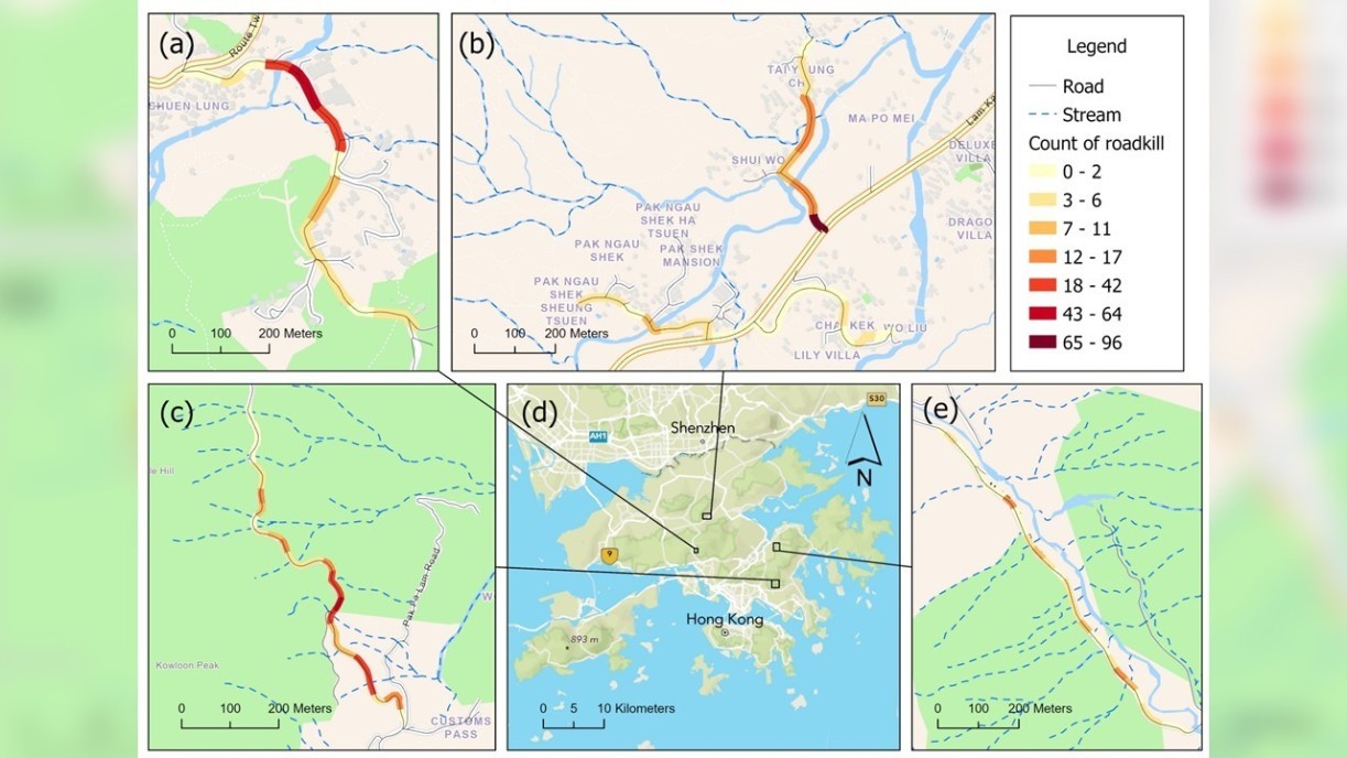Figure 1. The survey shows that roadkill is not randomly distributed, but concentrated in specific sections of the roads.