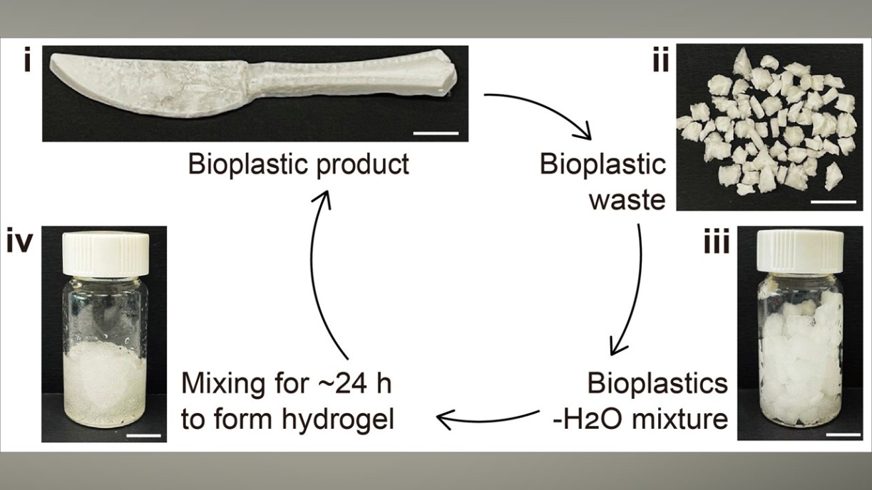 圖二、新型環保生物塑膠物料回收後浸入水中，經過一定時間會逐漸軟化成水凝膠狀態，循環再造成其他塑膠品。