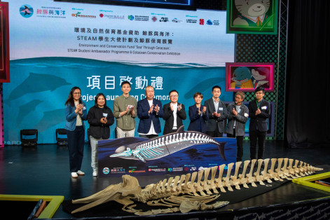 嶺大夥多個機構推出「鯨豚STEAM保育計劃」 逾190名中學生參與製作全球稀有朗氏喙鯨骨骼標本