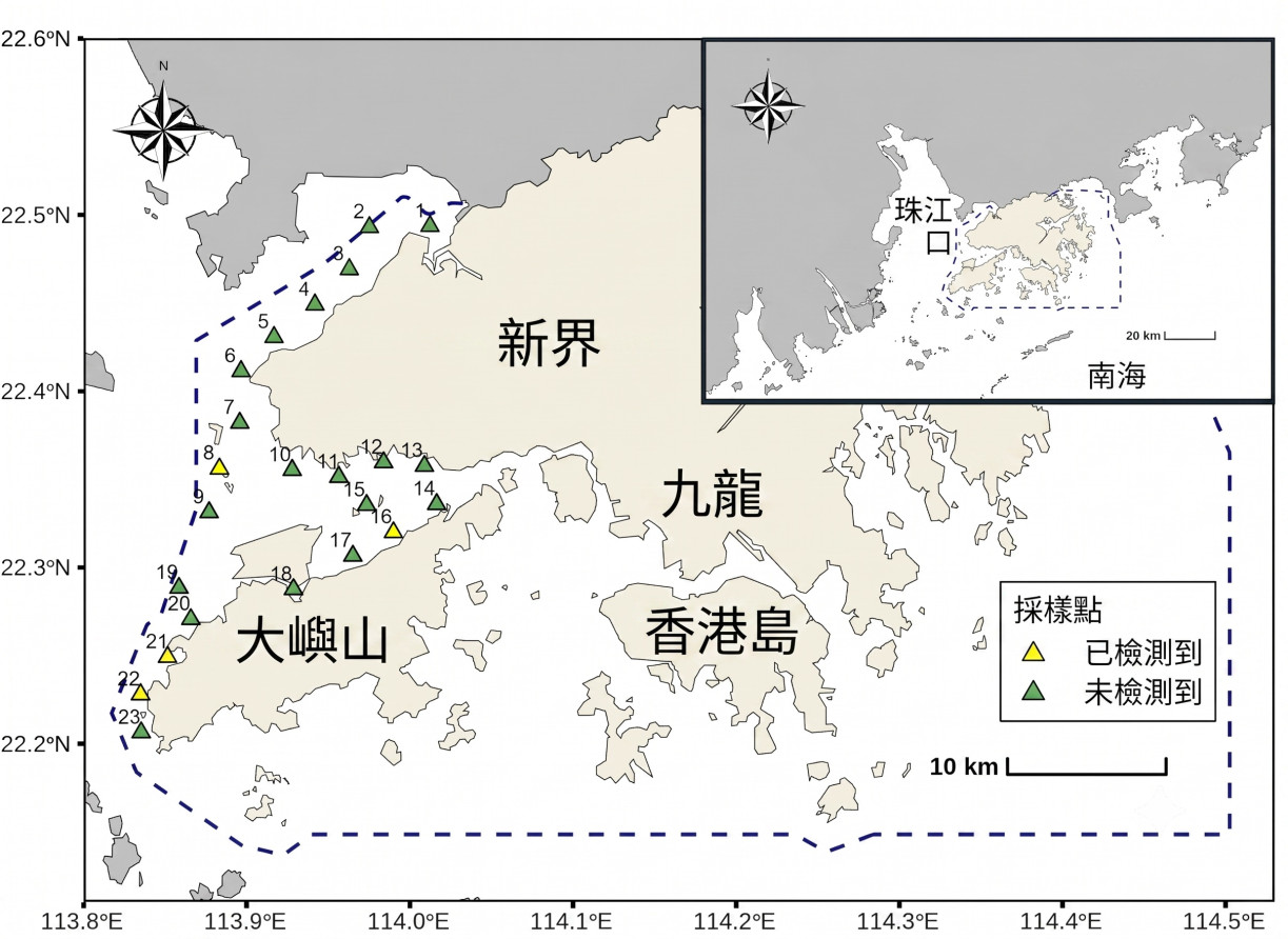 Using the new technology, the research team carried out a survey at 23 sites in western Hong Kong SAR waters between January and September 2025, collecting 414 natural seawater samples.