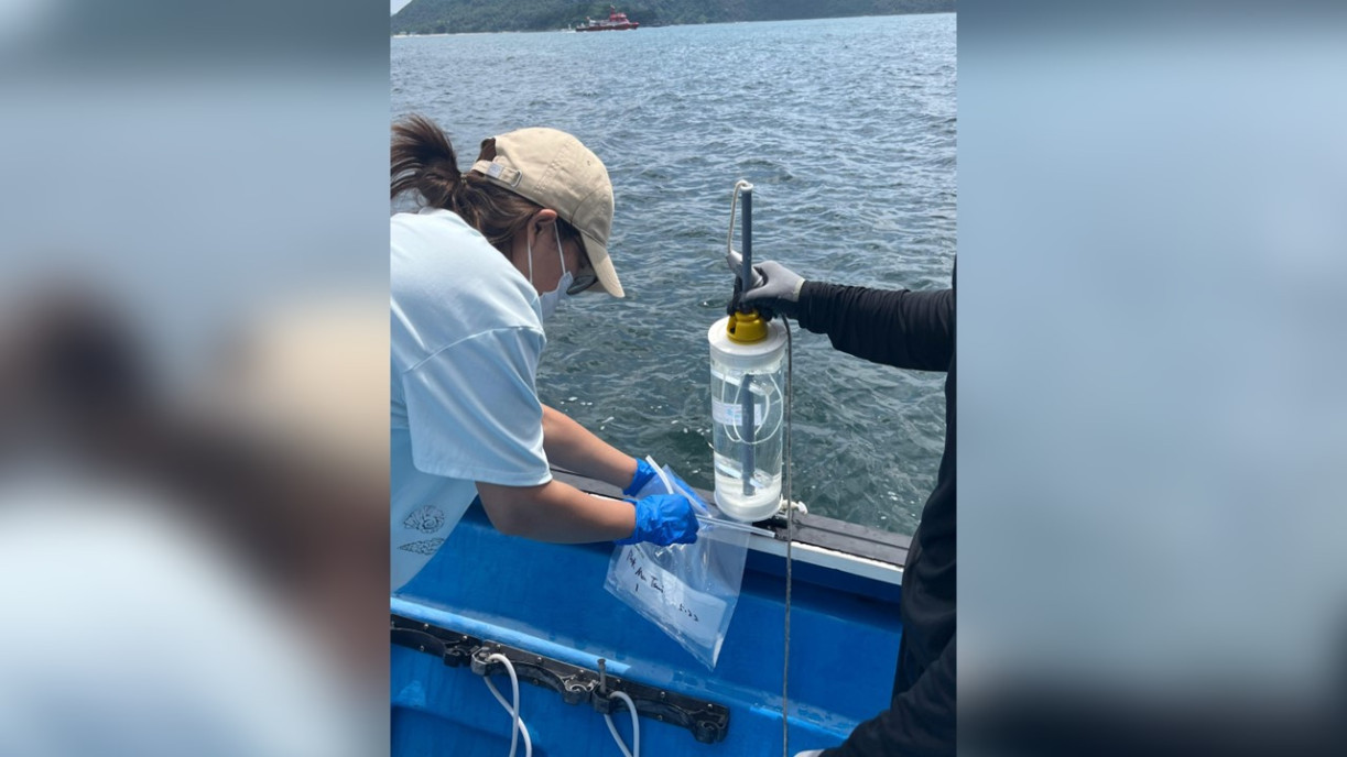 At each site, three one litre seawater samples are collected by the research team.
