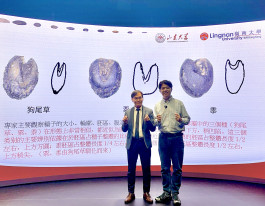 嶺大聯合開發全球首個大型AI考古系統 針對辨識跨越五千年中國植物種子 推動文化遺產數碼化