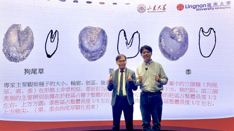 嶺大聯合開發全球首個大型AI考古系統 針對辨識跨越五千年中國植物種子 推動文化遺產數碼化