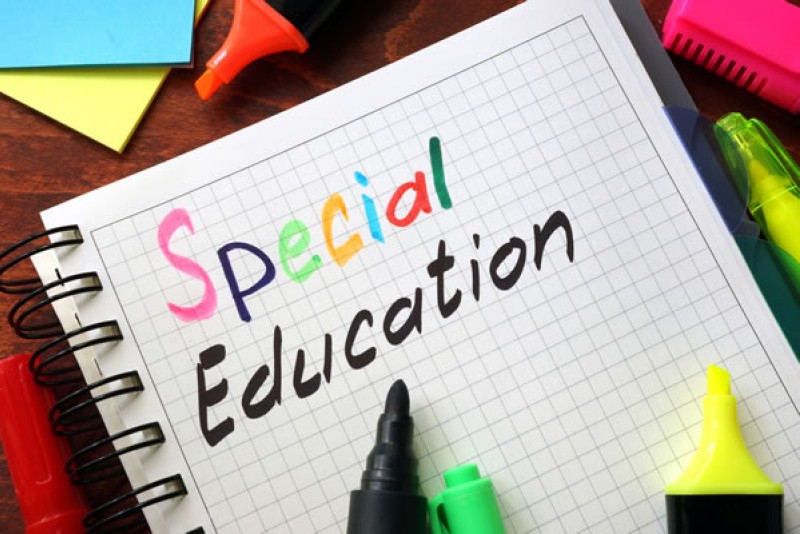 Support for Special Educational Needs (SEN) students