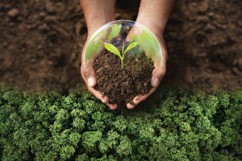 Green Energy Course Cultivates Future Clean Energy Leaders