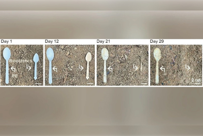 Sustainable DNA–Polysaccharide Bioplastics Advance Circular Innovation