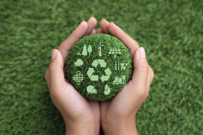 Promoting Sustainable Consumption Through Campus Wide Initiatives