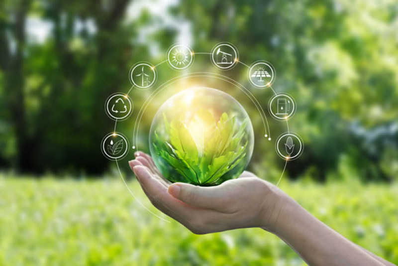 Campus Sustainability