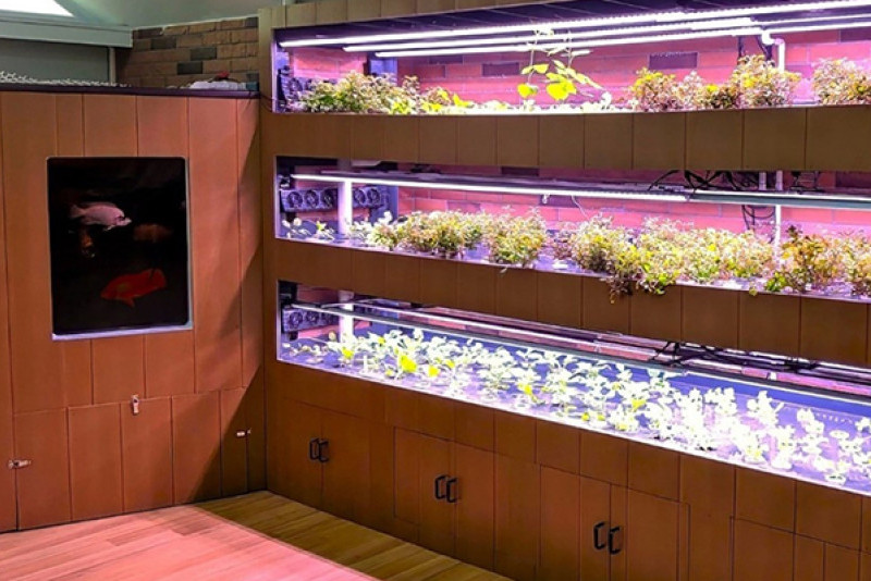 Advancing Climate Action through Circular Food Systems