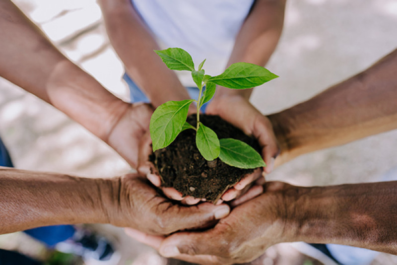Innovating Climate Education through VR and AI