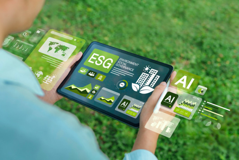 Empowering Future Leaders: Lingnan University's MSc in Sustainability and Environmental Analytics