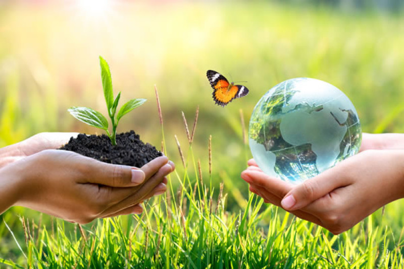 New Concentration “Environment and Sustainability”