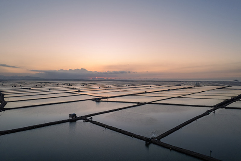 Protecting Coastal Wetlands through Nature Based Solutions