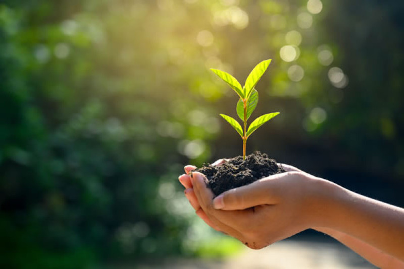 Minor in Environmental and Scientific Literacy