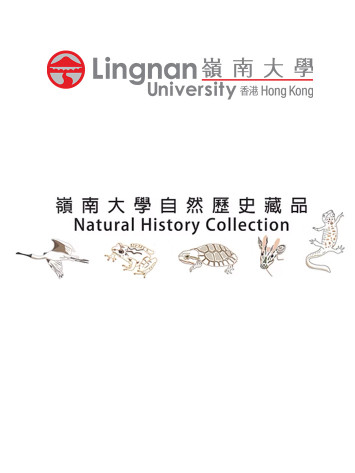 3. Natural History Collection: Supporting Biodiversity Conservation in Hong Kong
