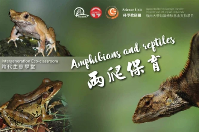 Educational Programmes on Ecosystems