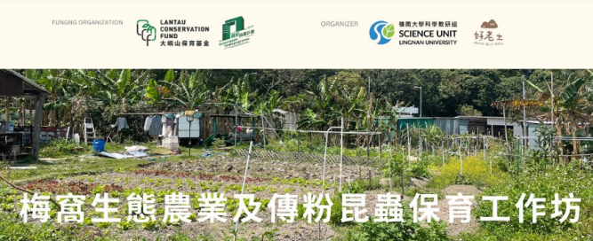 Mui Wo Eco-Farming and Pollinator Conservation Project