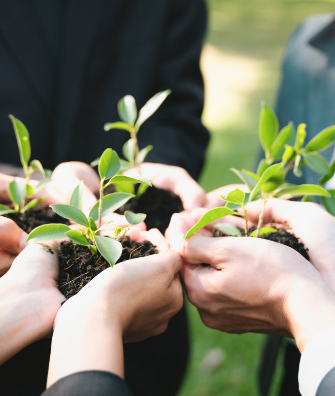 SDG 17 Partnerships for the Goals