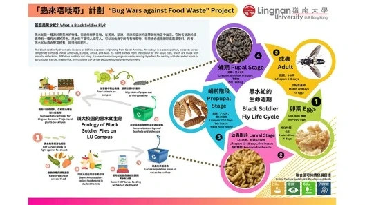 We have a “bug wars against food waste” project to reduce food project to reduce food waste and to inspire students, faculty members and the whole community to adopt a low-carbon lifestyle