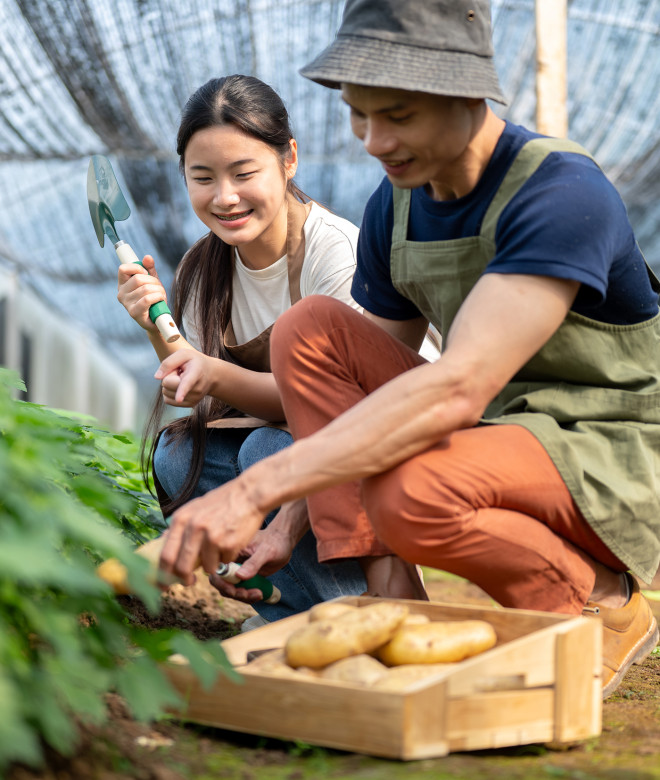 SDG 2 Zero Hunger