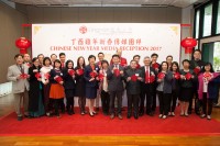 Chinese New Year Media Reception