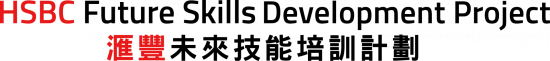 High-Flyers Logo