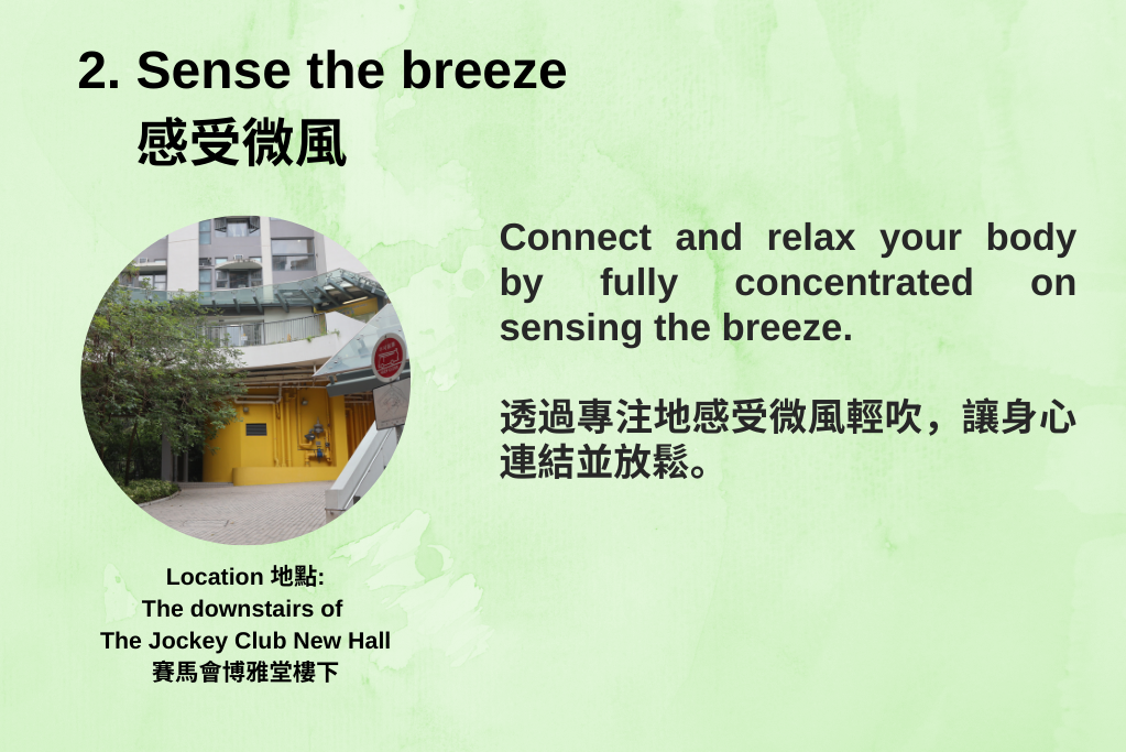 2.Sense the breeze感受微風