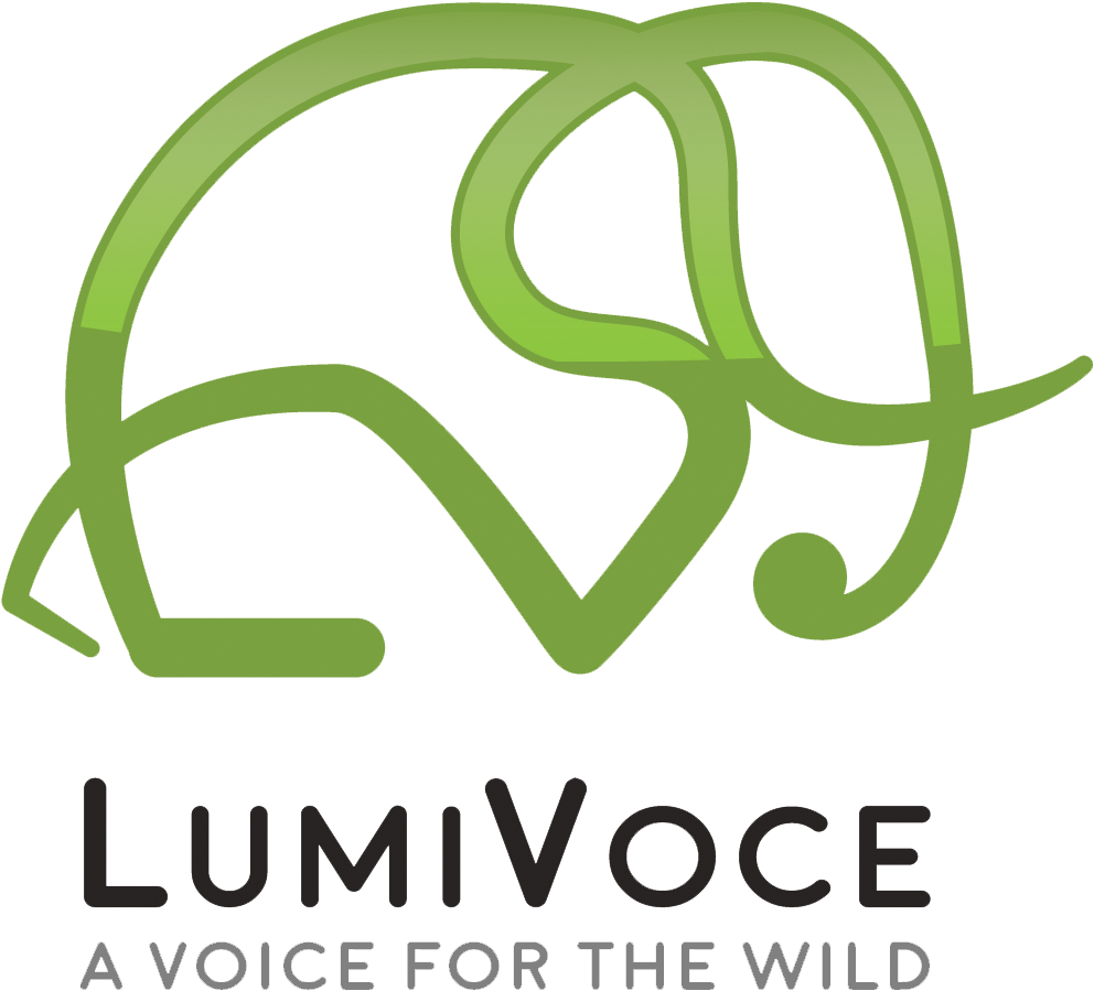 LumiVoce logo
