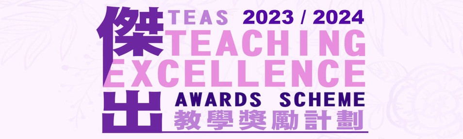 Teaching Excellence Awards Scheme (TEAS)