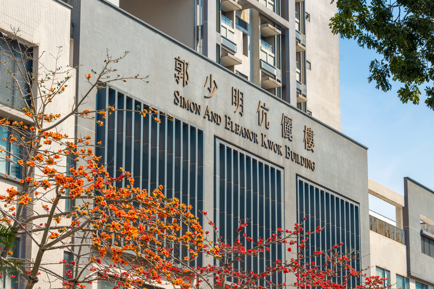 嶺南大學商業與管理研究學科QS 2026年世界大學學科排名持續攀升