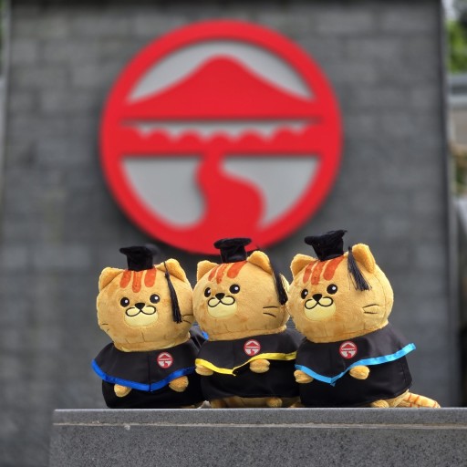 Graduation Cat Plush Doll