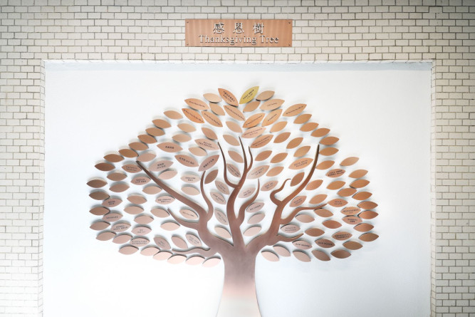 Thanksgiving Tree Campaign