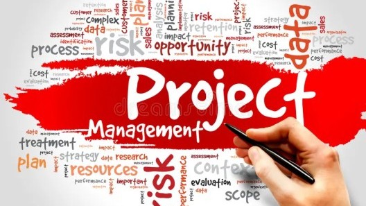 Project Management Policy and Procedure 🔒