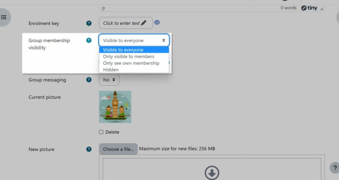  Group Visibility Changes of Moodle version 4.2.2