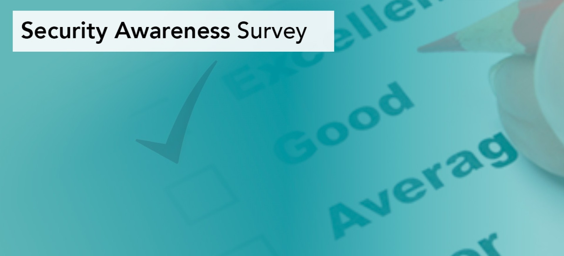 Security Awareness Survey