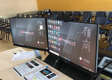 Dual Monitors with connection arm